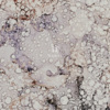 Han22 - If