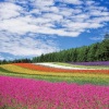 Seven-In-Music - Gentle Breeze