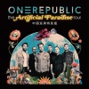 OneRepublic - Counting Stars