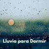 Lluvia Para Dormir Mejor、Lluvia para un sueño profundo、Lluvia Relajante para Dormir《Lluvia para Dormir, Pt. 01》[MP3/LRC]