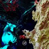 Samer Soltan - Chkoun