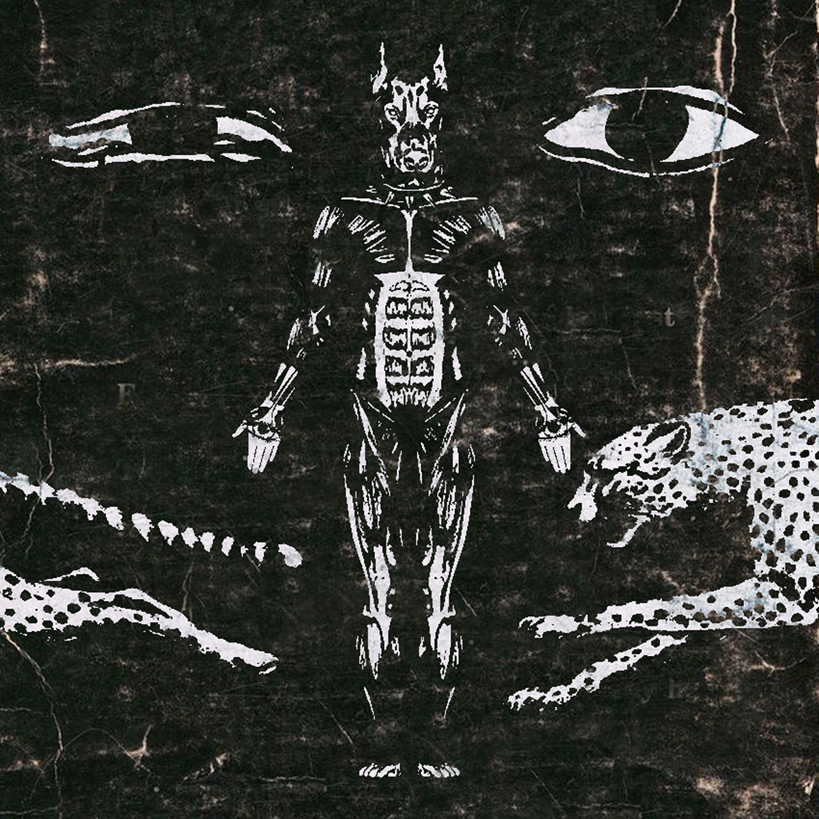 Crooked - Genesis