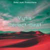 Vytis《Perfect Beat》[MP3/LRC]