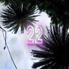 Flexdachs - 2022 (Explicit)