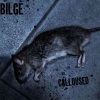 Bilge - Rats