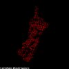 Esteban Rodríguez - Daughter Red (October Demo)