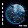 Narada - Le Subterfuge