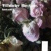 夏宇 - 冬花 (Winter Blossoms)