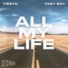 Tiësto、FAST BOY《All My Life》[MP3/LRC]