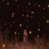 陈俊源 - 萤火虫 (纯音乐)
