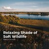 Sleep Sounds of Nature、Nature Sounds Nature Music、Nature Sounds - Rippling Stream Flow