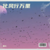 娟儿 - 化风行万里