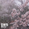 霏若若 - 飘雪