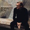 Marius van den Brink、Maurice Brown、Michael Valeanu - Coral Sun (feat. Maurice Brown & Michael Valeanu)