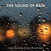 Regengeräusche、Nature Sounds、Rain Sounds《Rain》[MP3/LRC]