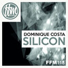 Dominique Costa - Silicon