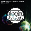 Vicente Ferrer、Ando Iguana - Grace Beat
