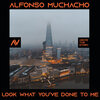 Alfonso Muchacho - Look What You've Done to Me