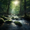 Dreamtime Music、The One-Lane Bridge、Meditation Music - Focused Study Stream Tunes