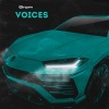 Grom - Voices