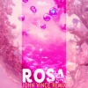 Albin、JOHN VINCE、Nicklas Säwström、Christoffer Johansson《ROSA (JOHN VINCE REMIX)》[MP3/LRC]