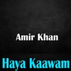 Amir Khan《Haya Kaawam》[MP3/LRC]