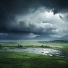 Sonidos Relajantes de Naturaleza、Lluviosamente、Cámara de enfoque - Recitativo En La Zona De Enfoque De La Lluvia