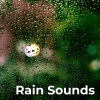 Royal Rain、Sounds Of Nature、Earthly Sounds、Rain Recordings、Refreshing Rain、Relaxing Rains、Love Nature、Natural Awakening、Nature Recordings、Nature Therapy、Score Of The Poar《Noise Rain》[MP3/LRC]