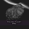 Pulse Plant - Patterns
