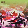 Mark Broom、Octave One、kevin saunderson、Nadia Aprilia Music、Ben Sims - Rip