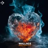 Wallace《Need Your Love》[MP3/LRC]