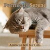 Pet Sandman、RelaxMyCat、Cat Music Dreams - Moonlit Whiskers: Gentle Lullabies for Cats (feat. RelaxMyCat & Cat Music Dreams)