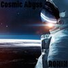 Ronin - Reality or Simulation