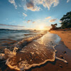 Desastres naturales、Playa Aurora、Relajación Ronnie - Música Oceánica Sentida