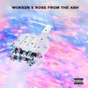 ROSE FROM THE ASH、Wokszn - EVERYTHING FREESTYLE (Explicit)