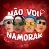 DJ Ws da Igrejinha、DJ JOÃO PEREIRA、Mc Dudu Sk、MC TH DA SERRA、DaLama - Não Vou Namorar (Explicit)