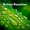 Grünes Rauschen、Geist des weißen Rauschens、Baby Geräusche - Grünes Rauschen