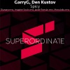 GarryG、Den Kustov、Dianarp - Spicy (Dianarp Rmx)