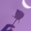 皎月 - 21 (Live)
