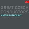 martin turnovsky、czech philharmonic orchestra《I. Poco moderato. Poco allegro》[MP3/LRC]