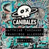 francisco allendes、Matthias Tanzmann - Survive