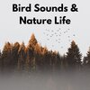Bird Sound Collectors、The Bird Relaxer、Sounds on Earth - Forest Afternoon
