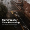 Rain Sounds Nature Collection、ASMR Rain Sounds、Sleepy Rain《Dancing in the Rain》[MP3/LRC]