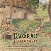 Czech Chamber Philharmonic Orchestra Pardubice、Petr Nouzovský、Stanislav Vavřínek - I. Moderato