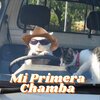 Silent DJ - Mi Primera Chamba (Remix)