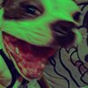 GOKIBURI、Qmayb - DEMENTE (feat. Qmayb)(Explicit)