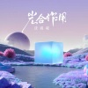 沈诚诚 - 光合作用