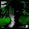 Subliminal Source《Open Your Eyes (Original Mix)》[MP3/LRC]