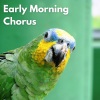 Bird Sound Collectors、The Bird Relaxer、Sounds on Earth - Happy Birds