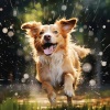 A Sound Healer、Sweet Dreamz、Rebirth Yoga Music Academy - Gentle Rain Serene Canine Slumber
